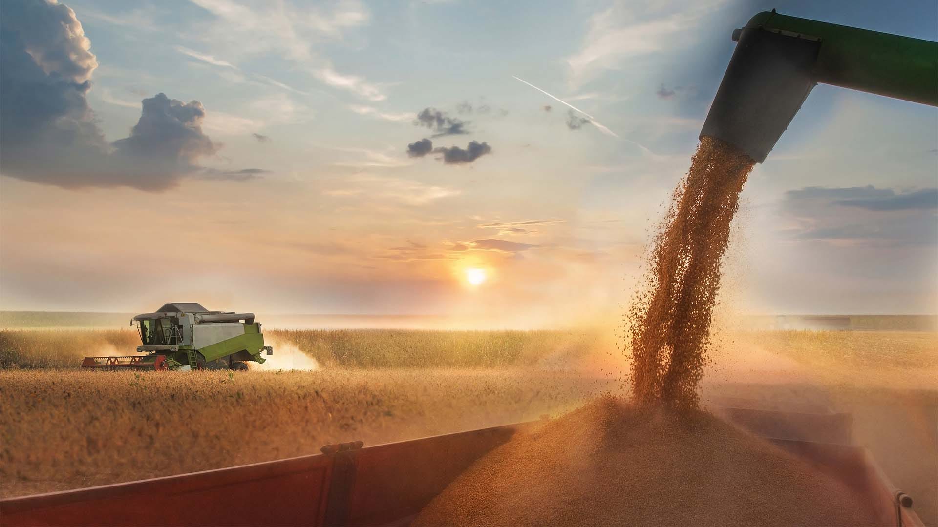 Produtor gigante do Tocantins, Consentini enfrenta crise financeira